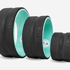 Chirp Wheel+ Bundle | Never Opened